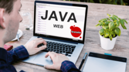 Curso Java Web Completo