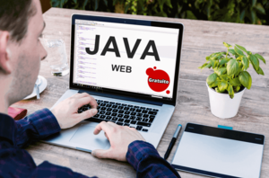 Curso Java Web Completo