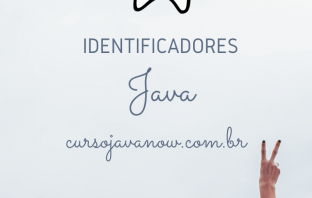 Identificadores