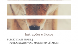 Instruções e Blocos