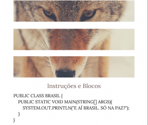 Instruções e Blocos