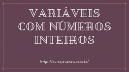 Variáveis com Números Inteiros