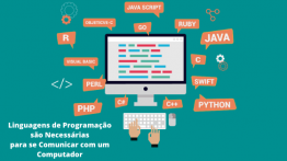 Linguagens de Programação são Necessárias para se Comunicar com um Computador