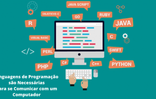 Linguagens de Programação são Necessárias para se Comunicar com um Computador