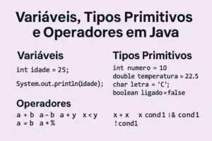 Variáveis, Tipos Primitivos e Operadores em Java