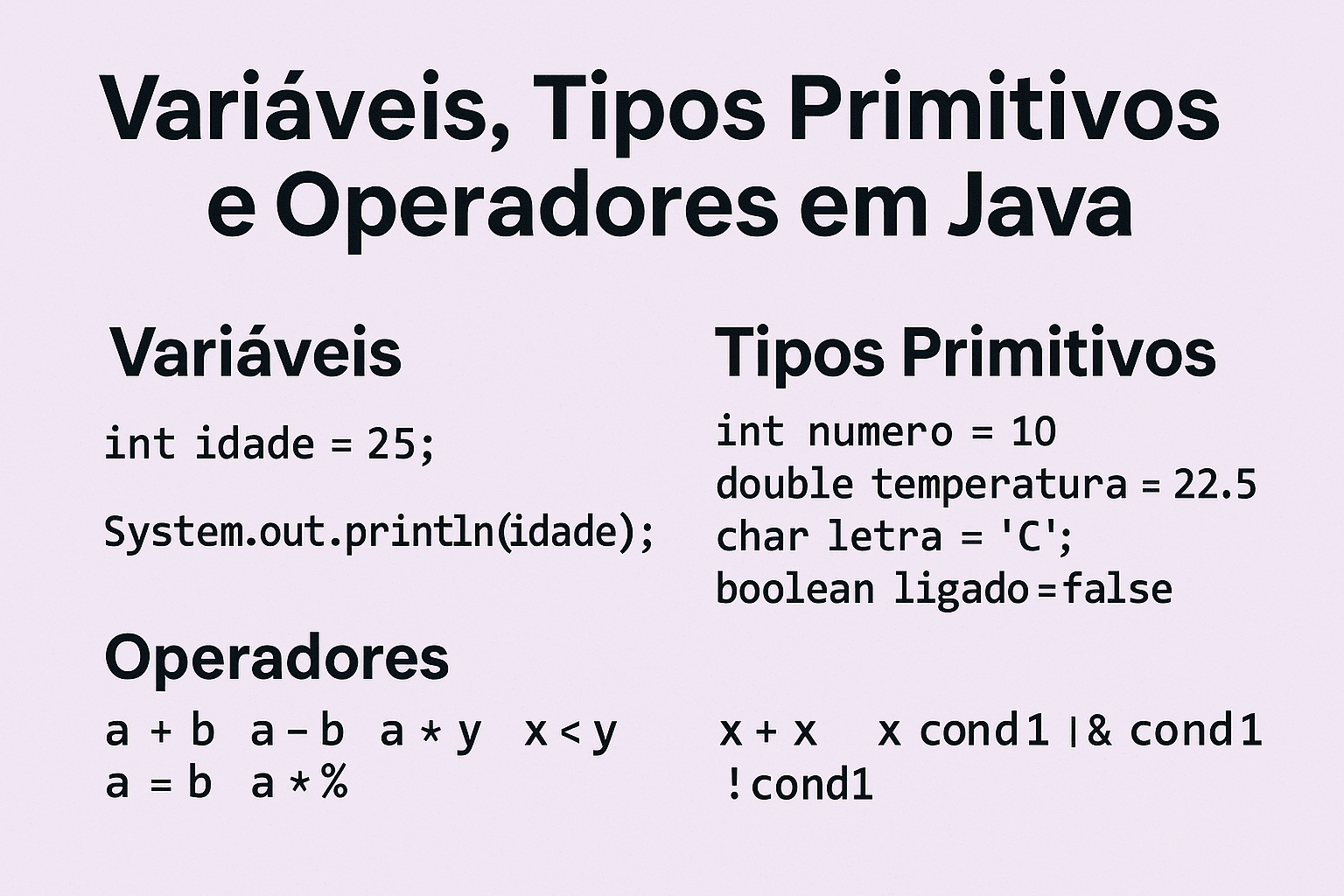 Variáveis, Tipos Primitivos e Operadores em Java